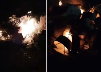 Am avut dreptate cu privire la Insula Mare a Brăilei!