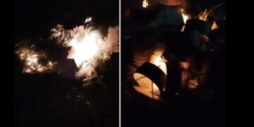 Am avut dreptate cu privire la Insula Mare a Brăilei!