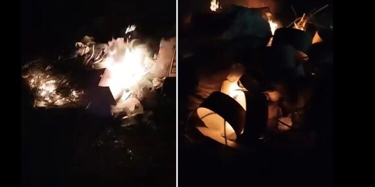 Am avut dreptate cu privire la Insula Mare a Brăilei!