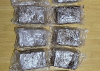 CERCETAT PENTRU INTRODUCEREA ÎN ȚARĂ DE DROGURI DE RISC ȘI TRAFIC DE DROGURI DE RISC