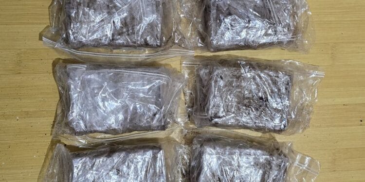 CERCETAT PENTRU INTRODUCEREA ÎN ȚARĂ DE DROGURI DE RISC ȘI TRAFIC DE DROGURI DE RISC