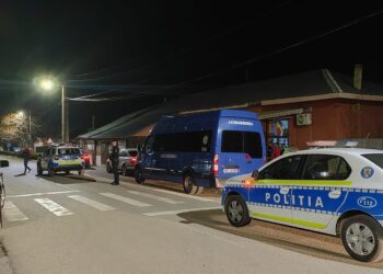 RAZII DE AMPLOARE IN SISTEM INTEGRAT PENTRU DESCURAJAREA FAPTELOR ANTISOCIALE