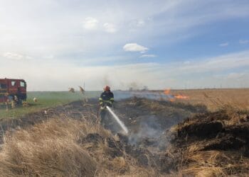 Incendiu de vegetație în zona de centură a municipiului Brăila