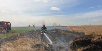 Incendiu de vegetație în zona de centură a municipiului Brăila