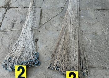 ACȚIUNI ȘI PERCHEZIȚII ALE POLIȚIȘTILOR ÎN ULTIMELE 24 DE ORE