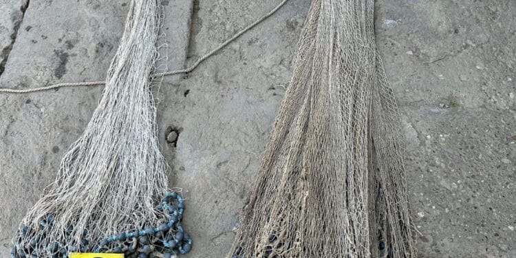 ACȚIUNI ȘI PERCHEZIȚII ALE POLIȚIȘTILOR ÎN ULTIMELE 24 DE ORE