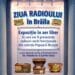 Ziua Radioului La Brăila
