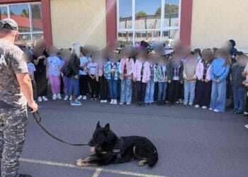 A treia zi a evenimentului național ”Săptămâna Școală în Siguranță”, în județul Brăila
