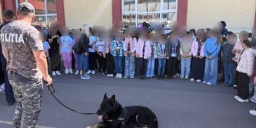 A treia zi a evenimentului național ”Săptămâna Școală în Siguranță”, în județul Brăila