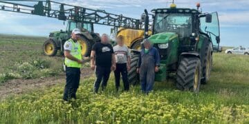 CONTINUĂ CAMPANIA ”SĂPTĂMÂNA SIGURANȚEI RUTIERE” ÎN JUDEȚUL BRĂILA