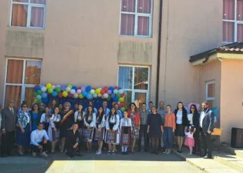 ȘCOALA PROFESIONALA VIZIRU