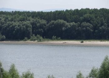 Persoană înecată in fluviul Dunărea