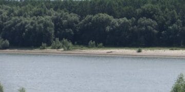 Persoană înecată in fluviul Dunărea