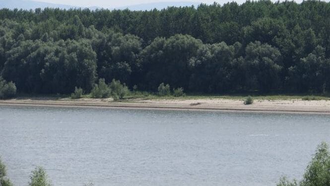 Persoană înecată in fluviul Dunărea