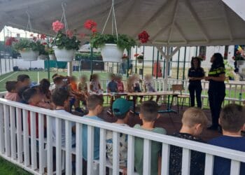 Recomandări pentru copii