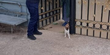 ACȚIUNE DE INFORMARE A CETĂȚENILOR, DEȚINĂTORI DE ANIMALE DE COMPANIE, DESFĂȘURATĂ DE POLIȚIȘTI