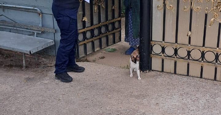 ACȚIUNE DE INFORMARE A CETĂȚENILOR, DEȚINĂTORI DE ANIMALE DE COMPANIE, DESFĂȘURATĂ DE POLIȚIȘTI