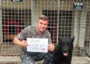 La mulți ani, Gipsy! Eroii poartă și blană