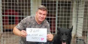 La mulți ani, Gipsy! Eroii poartă și blană