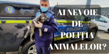 ACȚIUNE PENTRU VERIFICAREA TRANSPORTULUI DE ANIMALE VII