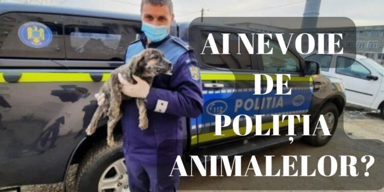ACȚIUNE PENTRU VERIFICAREA TRANSPORTULUI DE ANIMALE VII