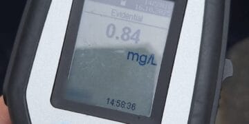 ACȚIUNILE POLIȚIȘTILOR BRĂILENI PENTRU ASIGURAREA UNUI CLIMAT OPTIM DE SIGURANȚĂ PUBLICĂ