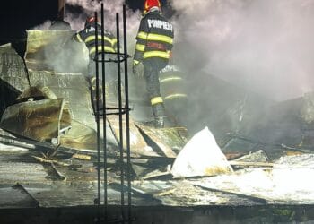 BULETIN INFORMATIV nr. 02  12.01.2026