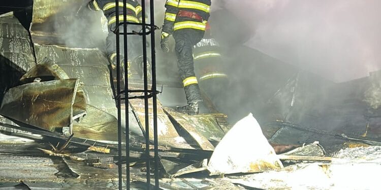 BULETIN INFORMATIV nr. 02 12.01.2026