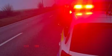 REZULTATELE ACTIVITĂȚILOR  DESFĂȘURATE DE POLIȚIȘTI ÎN MINIVACANȚA DE REVELION