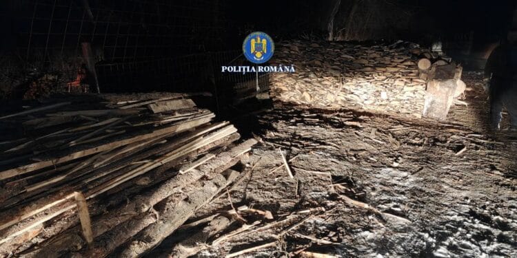 *DEPISTARE A UNEI INFRACȚIUNI LA REGIMUL SILVIC*