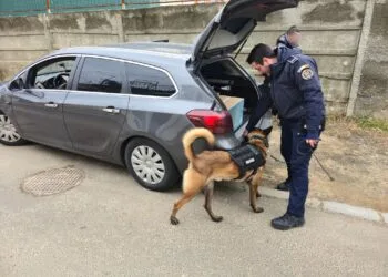 SCOATE VIOLENȚA ȘCOLARĂ DIN ANONIMAT