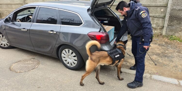 SCOATE VIOLENȚA ȘCOLARĂ DIN ANONIMAT