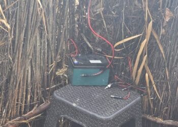 ACȚIUNE PENTRU COMBATEREA BRACONAJULUI CINEGETIC