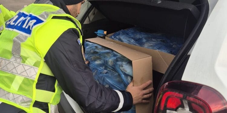 ATENȚIE LA VÂNZĂRILE SUSPECTE