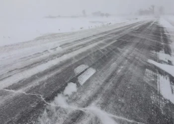 BULETIN INFORMATIV nr. 8 CJSU 17.02.2026