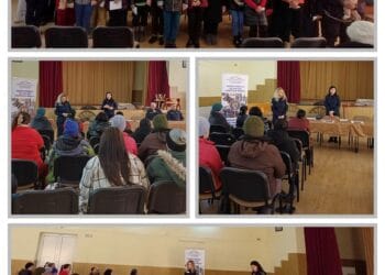 Prevenirea violenței domestice, prioritate a Inspectoratului de Poliție Județean Brăila