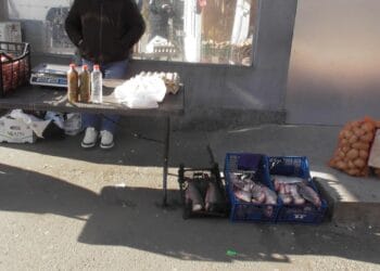 Buletin Informativ   I.J.J. Brăila 05.03.2026    Depistare comercializare pește fără documente