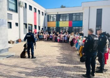 Buletin Informativ   11.03.2026  I.J.J. Brăila  Învățăm siguranța prin joacă