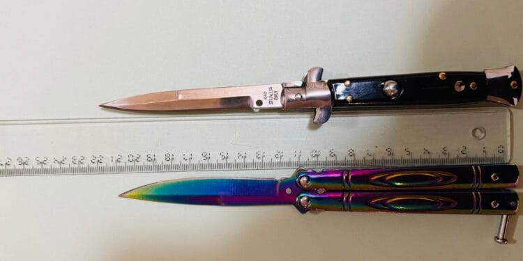 Buletin Informativ  I.J.J. Brăila 24.03.2026