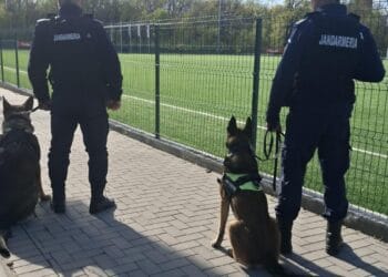 Comunicat de presă I.J.J. Brăila 14.04.2026                                                                                                                                                                                                                         Sărbători Pascale în siguranță