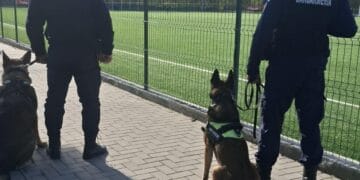 Comunicat de presă I.J.J. Brăila 14.04.2026 Sărbători Pascale în siguranță