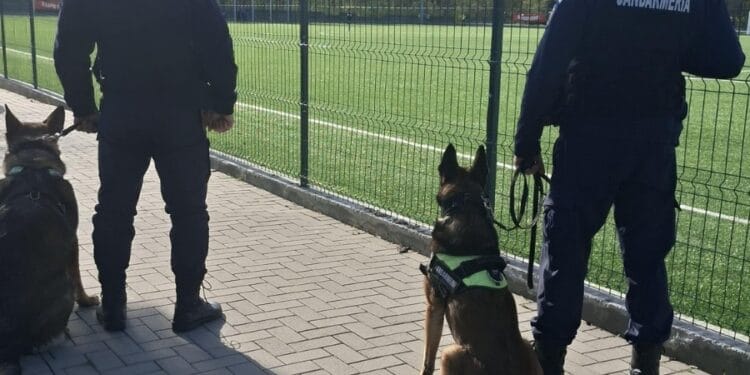 Comunicat de presă I.J.J. Brăila 14.04.2026                                                                                                                                                                                                                         Sărbători Pascale în siguranță