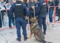 COMUNICAT DE PRESĂ I.J.J. BRĂILA 04.05.2026