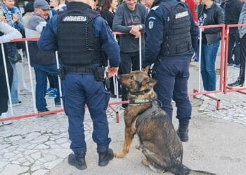 COMUNICAT DE PRESĂ I.J.J. BRĂILA 04.05.2026