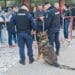 COMUNICAT DE PRESĂ I.J.J. BRĂILA 04.05.2026