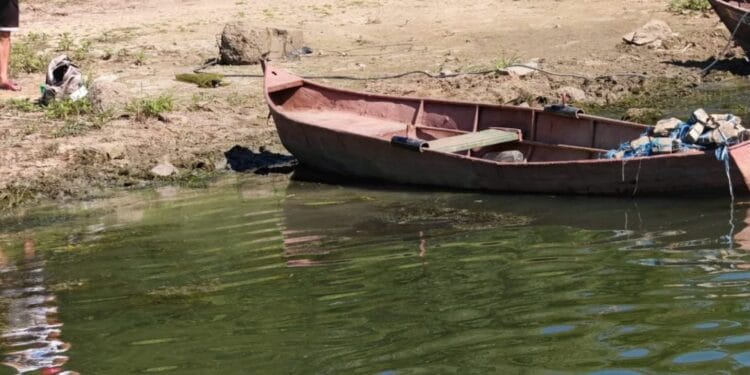 ACȚIUNI PENTRU PREVENIREA ȘI COMBATEREA BRACONAJULUI PISCICOL, ÎN CADRUL PLANULUI „SAFE WATERS” – 2026