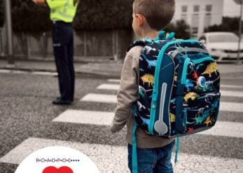 Obiective ale polițiștilor în cadrul Proiectului ROADPOL SAFETY DAYS