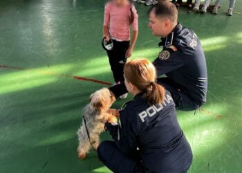 ACTIVITATE PREVENTIV-INFORMATIVĂ DEDICATĂ ZILEI MONDIALE A ANIMALELOR