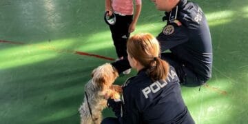 ACTIVITATE PREVENTIV-INFORMATIVĂ DEDICATĂ ZILEI MONDIALE A ANIMALELOR