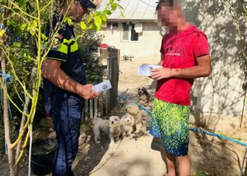 Acțiuni preventive desfășurate de polițiștii Biroului pentru Protecția Animalelor, în municipiu, orașul Însurăței și comuna Viziru.